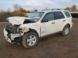 Carros salvage sin ofertas aún a la venta en subasta: 2009 Ford Escape Hybrid