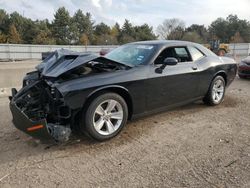 Carros de alquiler a la venta en subasta: 2023 Dodge Challenger SXT