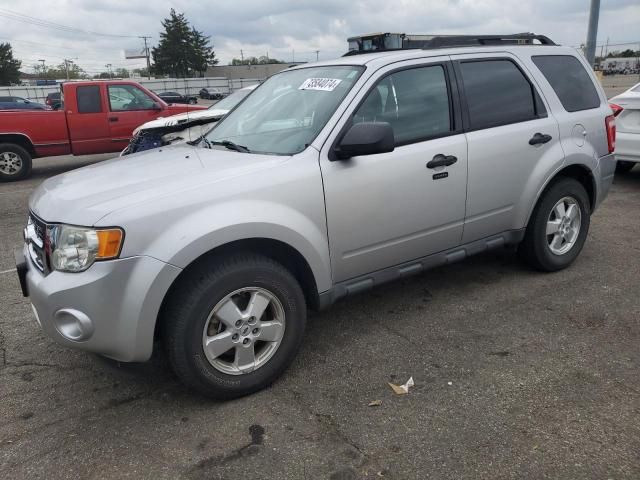 2010 Ford Escape XLT