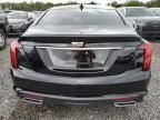 2024 Cadillac CT5 Luxury