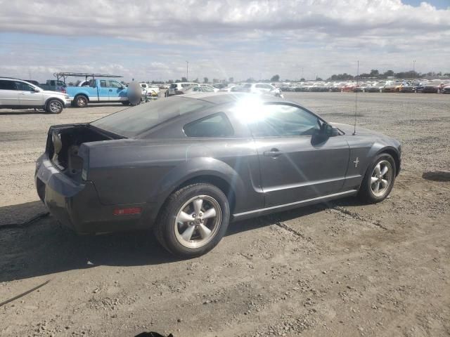 2007 Ford Mustang