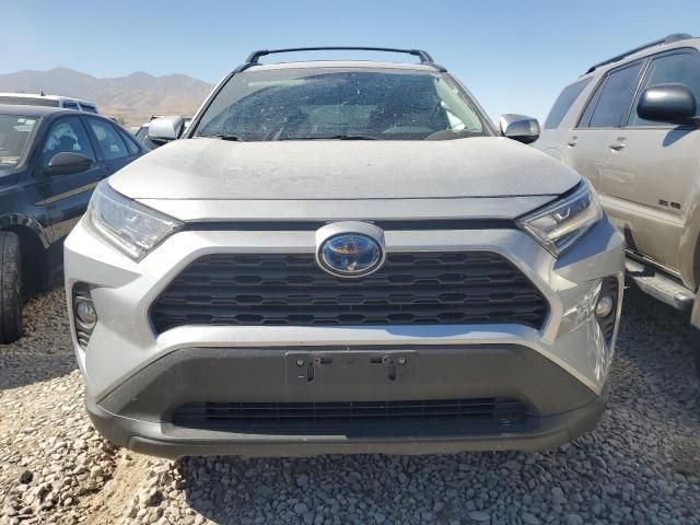 2019 Toyota Rav4 XLE