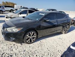 Salvage cars for sale at Taylor, TX auction: 2016 Nissan Maxima 3.5S