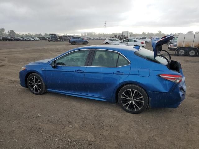 2019 Toyota Camry Hybrid