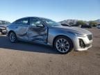 2024 Cadillac CT5 Premium Luxury