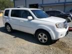 2011 Honda Pilot EXL