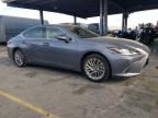 2019 Lexus ES 300H