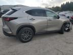 2025 Lexus NX 350H Base