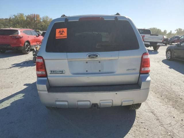 2009 Ford Escape XLT