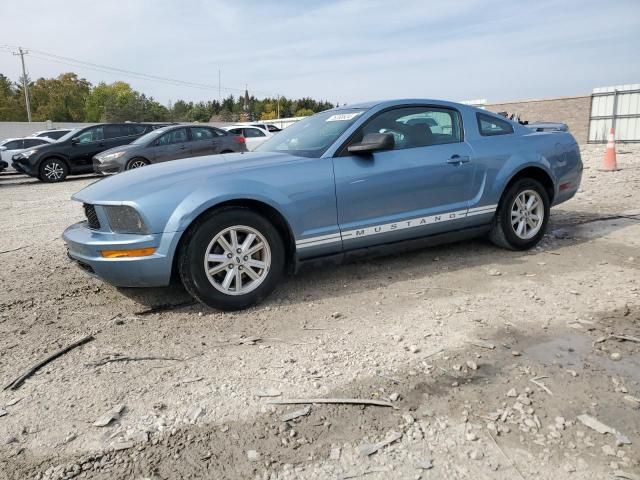 2005 Ford Mustang