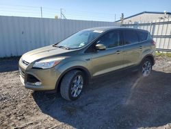 Salvage cars for sale at Albany, NY auction: 2013 Ford Escape SEL