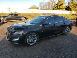 Chevrolet salvage cars for sale: 2019 Chevrolet Malibu RS