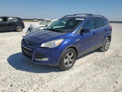 Salvage cars for sale from Copart Temple, TX: 2013 Ford Escape SE