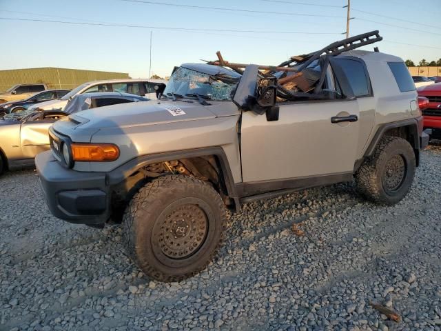 2013 Toyota FJ Cruiser