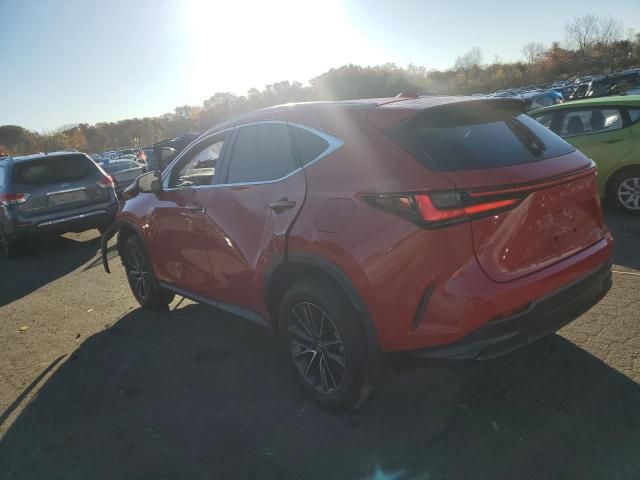 2024 Lexus NX 350 Base