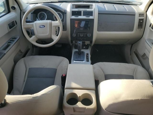 2008 Ford Escape XLT