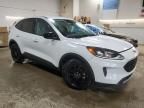 2020 Ford Escape SE Sport