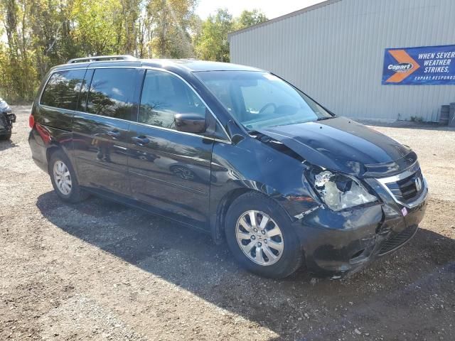 2008 Honda Odyssey EXL