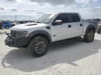 2014 Ford F150 SVT Raptor