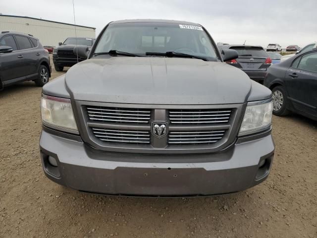 2010 Dodge Dakota SXT