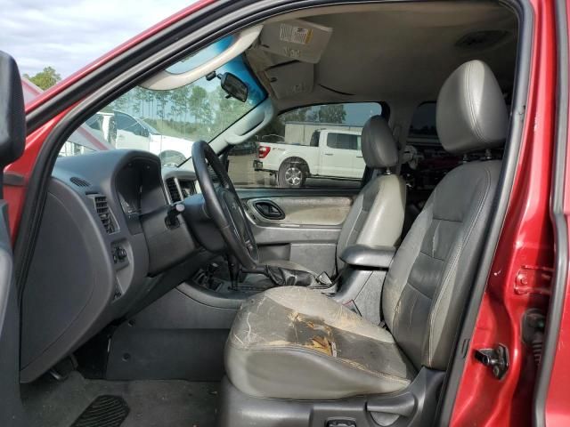 2005 Ford Escape XLT