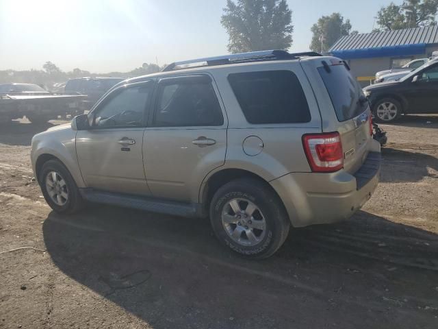 2010 Ford Escape Limited