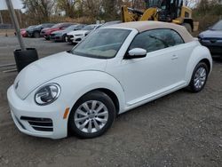 Salvage cars for sale at Marlboro, NY auction: 2019 Volkswagen Beetle S