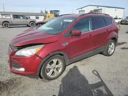 Cars Selling Today at auction: 2015 Ford Escape SE