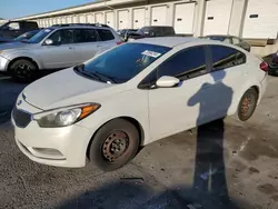 Salvage cars for sale at Louisville, KY auction: 2015 KIA Forte LX