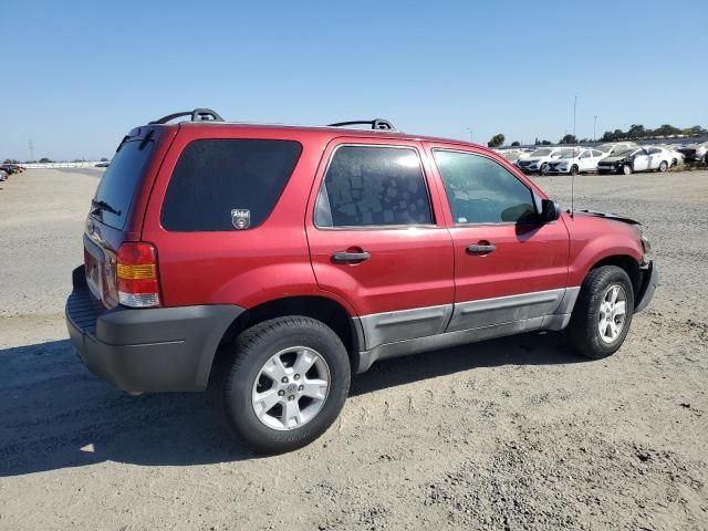 2006 Ford Escape XLT