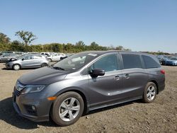 Honda Vehiculos salvage en venta: 2019 Honda Odyssey EXL