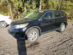 Salvage cars for sale at Cookstown, ON auction: 2013 Honda CR-V EX