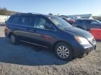 2008 Honda Odyssey EXL