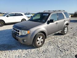 Salvage cars for sale at Temple, TX auction: 2012 Ford Escape XLT