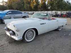 Salvage cars for sale at Ocala, FL auction: 1955 Ford Thunderbird