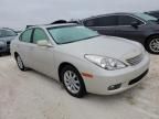 2004 Lexus ES 330