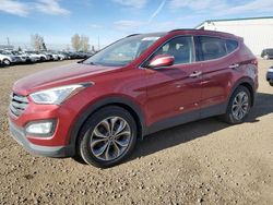 Salvage cars for sale at Rocky View County, AB auction: 2014 Hyundai Santa FE Sport