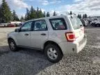 2009 Ford Escape XLS