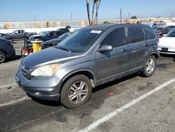 Salvage cars for sale at Van Nuys, CA auction: 2010 Honda CR-V EXL