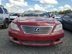 2010 Lexus LS 460