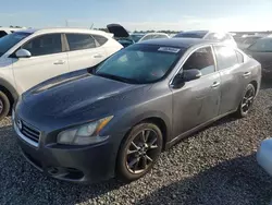 Salvage cars for sale at Riverview, FL auction: 2012 Nissan Maxima S