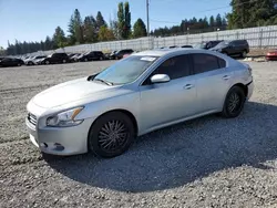 Nissan salvage cars for sale: 2014 Nissan Maxima S