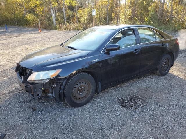 2009 Toyota Camry Hybrid