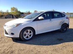 Salvage cars for sale from Copart Columbia Station, OH: 2014 Ford Focus SE