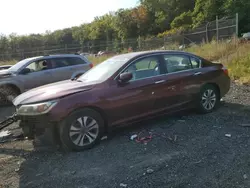 Carros salvage sin ofertas aún a la venta en subasta: 2013 Honda Accord LX