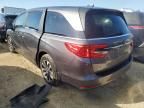 2024 Honda Odyssey EXL