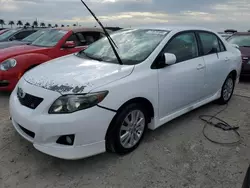 2010 Toyota Corolla Base en venta en Riverview, FL