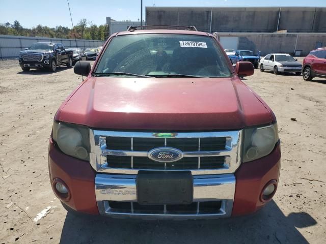 2010 Ford Escape Limited