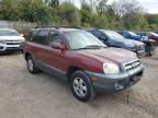 2005 Hyundai Santa FE GLS