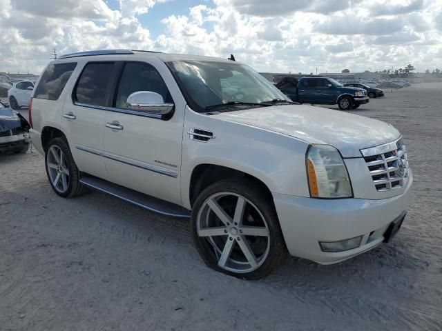 2010 Cadillac Escalade